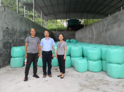 市畜牧總站帶隊南方草地項目指導工作圓滿完成，助力墊豐石畜牧飼料業(yè)升級